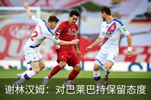 谢林汉姆：对巴莱巴持保留态度